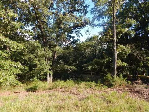 lot13 Quail Hollow Cv, Heber Springs, AR 72543