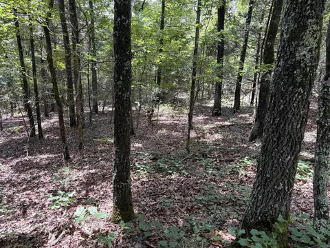 000 Merryman Rd, Clinton, AR 72031 photo 45