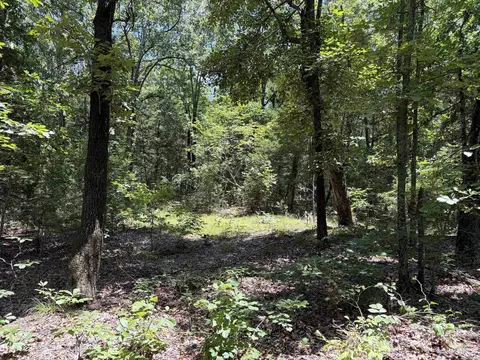 000 Merryman Rd, Clinton, AR 72031 photo 40
