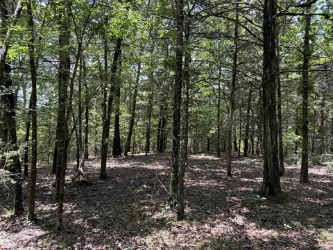 000 Merryman Rd, Clinton, AR 72031 photo 38