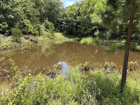 000 Merryman Rd, Clinton, AR 72031 photo 26