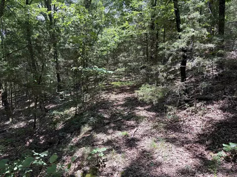 000 Merryman Rd, Clinton, AR 72031 photo 42