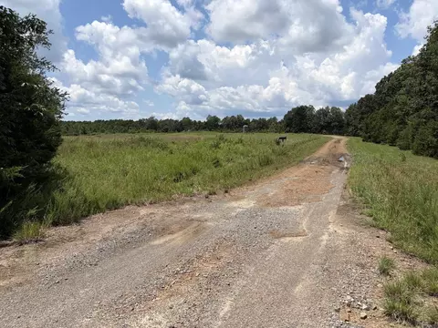 000 Merryman Rd, Clinton, AR 72031 photo 16