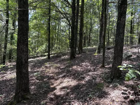 000 Merryman Rd, Clinton, AR 72031 photo 37