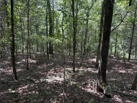 000 Merryman Rd, Clinton, AR 72031 photo 31