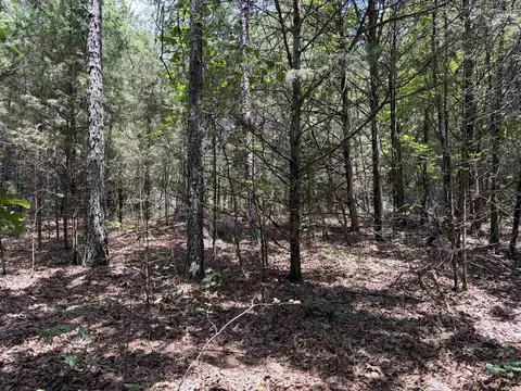 000 Merryman Rd, Clinton, AR 72031 photo 46