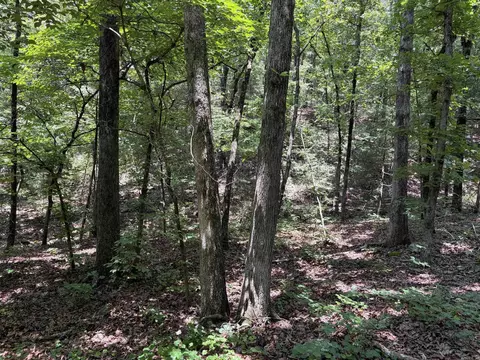 000 Merryman Rd, Clinton, AR 72031 photo 32