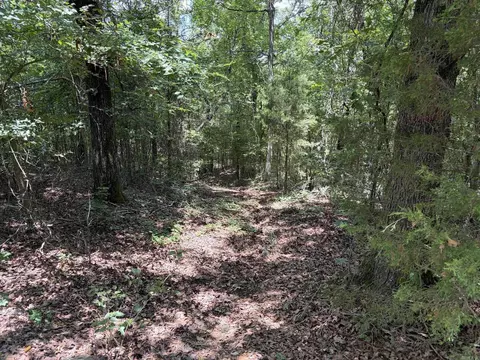 000 Merryman Rd, Clinton, AR 72031 photo 25