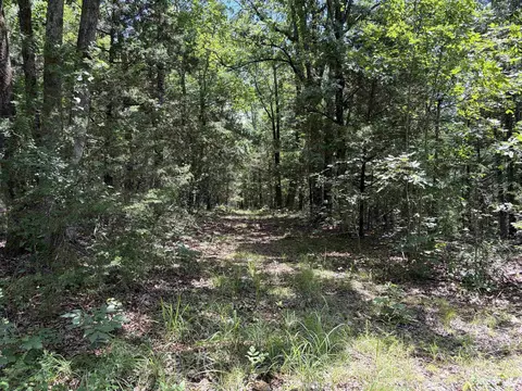 000 Merryman Rd, Clinton, AR 72031 photo 41