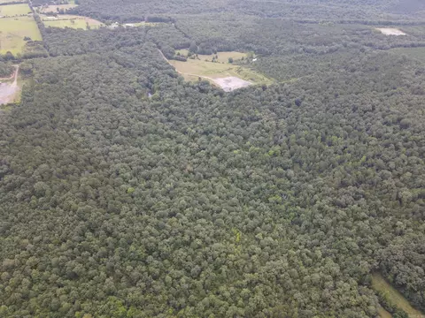 000 Merryman Rd, Clinton, AR 72031 photo 9