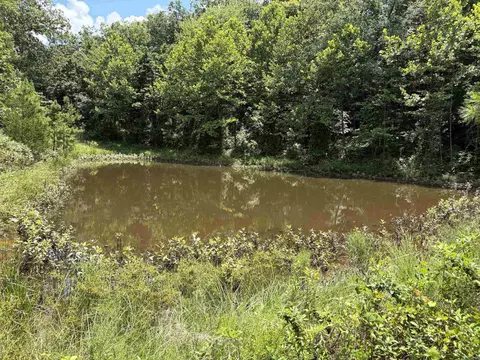 000 Merryman Rd, Clinton, AR 72031 photo 29