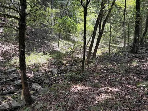 000 Merryman Rd, Clinton, AR 72031 photo 35