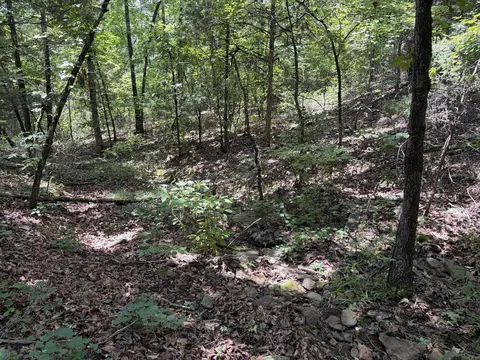 000 Merryman Rd, Clinton, AR 72031 photo 36