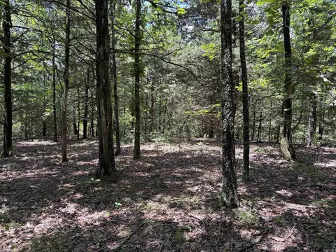 000 Merryman Rd, Clinton, AR 72031 photo 39