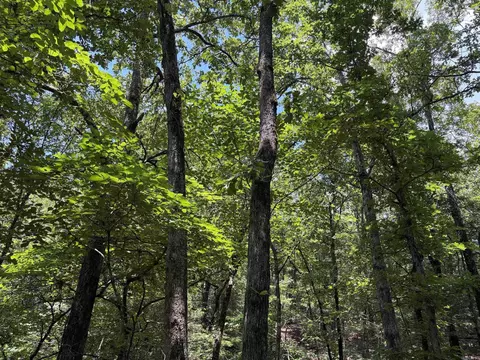 000 Merryman Rd, Clinton, AR 72031 photo 33