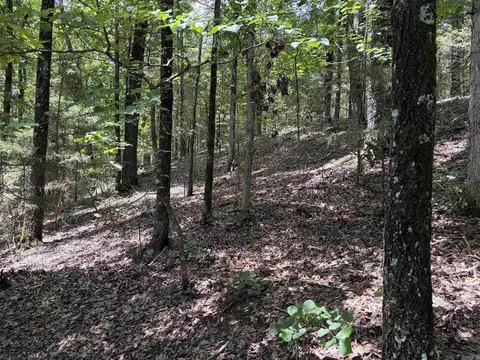 000 Merryman Rd, Clinton, AR 72031 photo 44