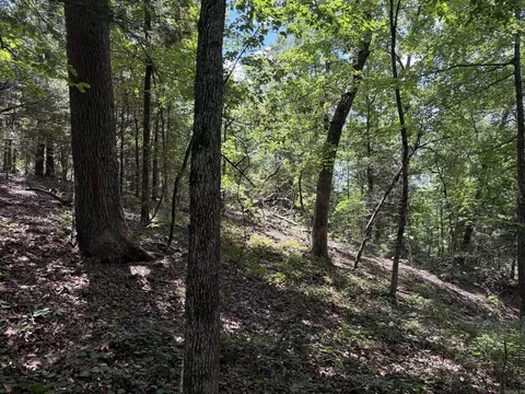 000 Merryman Rd, Clinton, AR 72031 photo 43