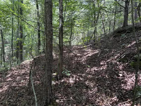 000 Merryman Rd, Clinton, AR 72031 photo 30