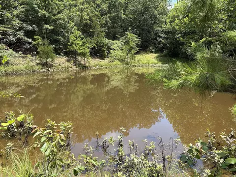 000 Merryman Rd, Clinton, AR 72031 photo 27