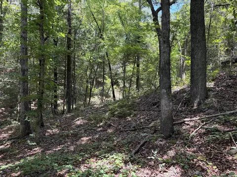 000 Merryman Rd, Clinton, AR 72031 photo 34