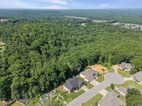 View/Area - 1085 Mountain Side Cv, Alexander, AR 72002 photo 5 of 6