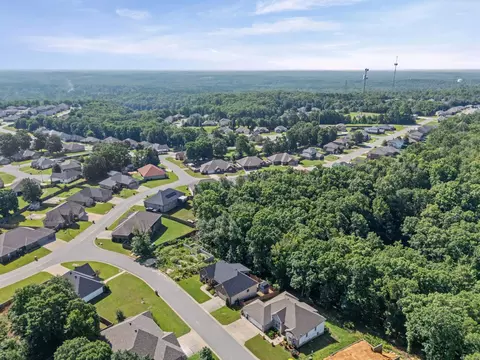 View/Area - 1085 Mountain Side Cv, Alexander, AR 72002 photo 3 of 6