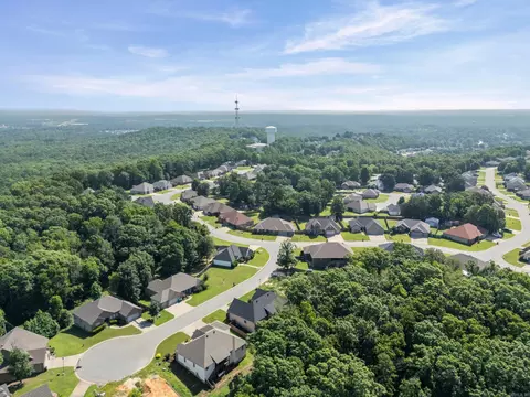 View/Area - 1085 Mountain Side Cv, Alexander, AR 72002 photo 2 of 6