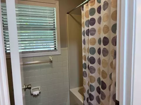 Bath - 236 N Riverview Ln, Mountain View, AR 72560 photo 6 of 7