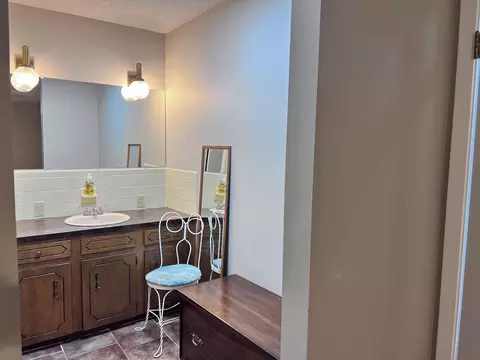 Bath - 236 N Riverview Ln, Mountain View, AR 72560 photo 4 of 7