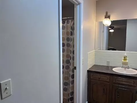 Bath - 236 N Riverview Ln, Mountain View, AR 72560 photo 5 of 7