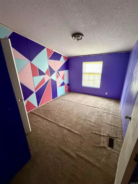 955 Nctr Rd, Redfield, AR 72132 photo 9