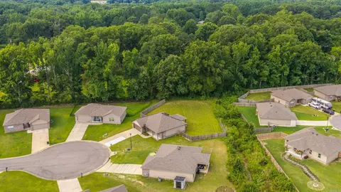 View/Area - 29 Patti Cv, Ward, AR 72176 photo 2 of 2