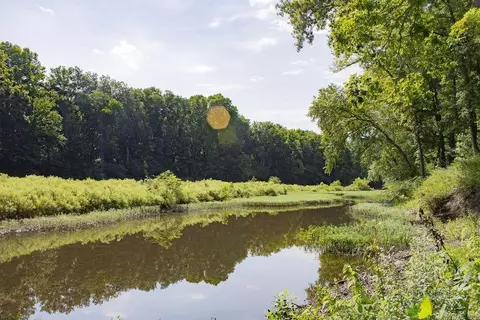 View/Area - 156 Polk Road 38, Hatfield, AR 71945 photo 1 of 4