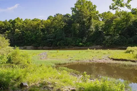 View/Area - 156 Polk Road 38, Hatfield, AR 71945 photo 3 of 4