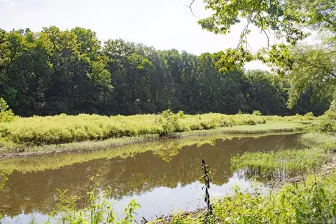 View/Area - 156 Polk Road 38, Hatfield, AR 71945 photo 2 of 4