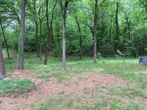 173 Circle Dr, Mount Ida, AR 71957 photo 8