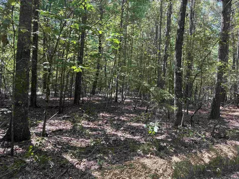 Calhoun 303, Hampton, AR 71744 photo 3