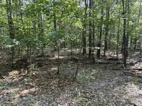 Calhoun 303, Hampton, AR 71744 photo 4