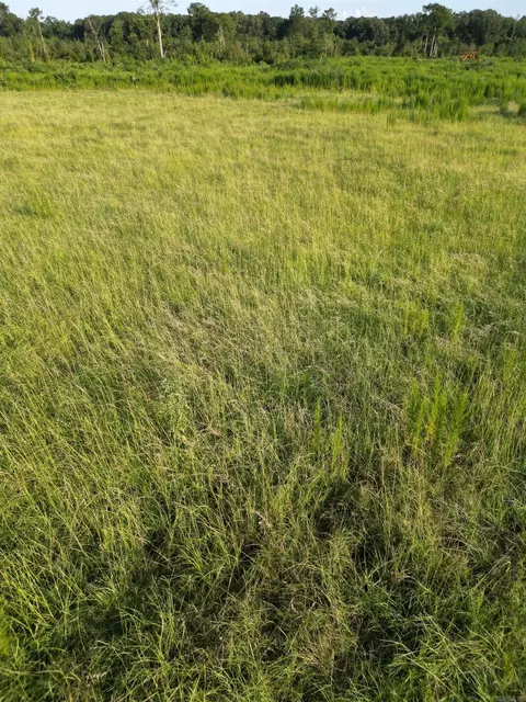 4400 Rye Cutoff Rd, Rison, AR 71665 photo 29