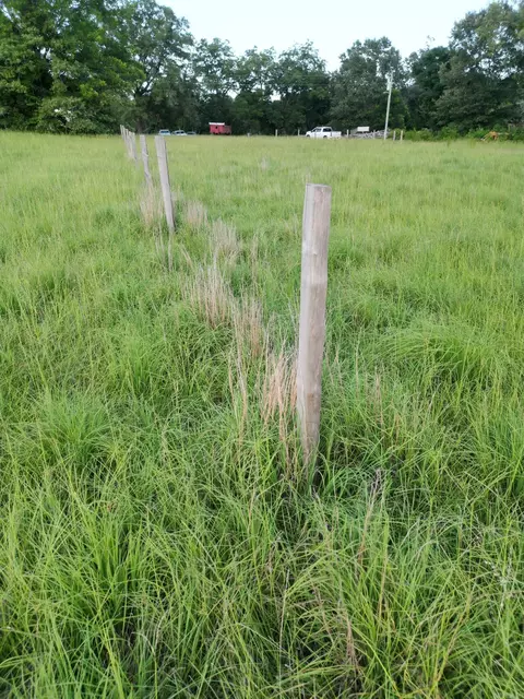 4400 Rye Cutoff Rd, Rison, AR 71665 photo 41