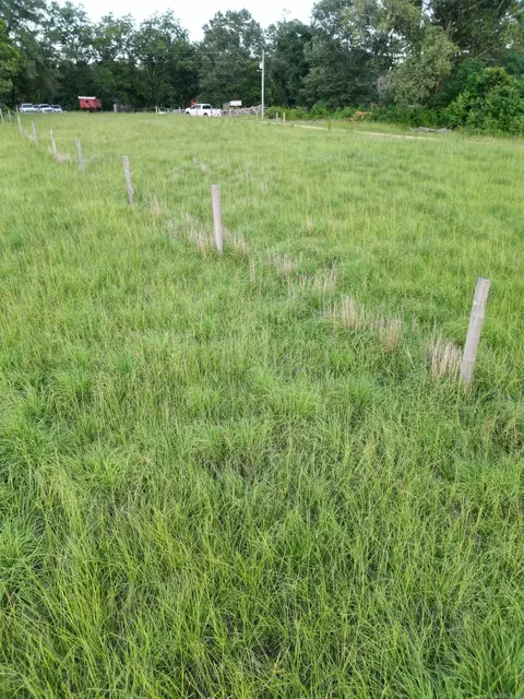 4400 Rye Cutoff Rd, Rison, AR 71665 photo 40