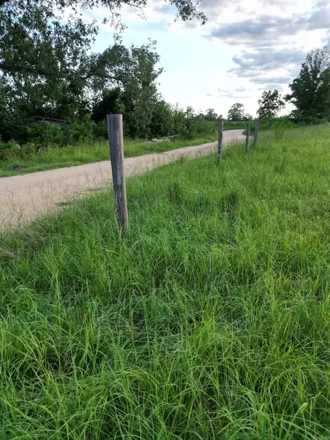 4400 Rye Cutoff Rd, Rison, AR 71665 photo 43