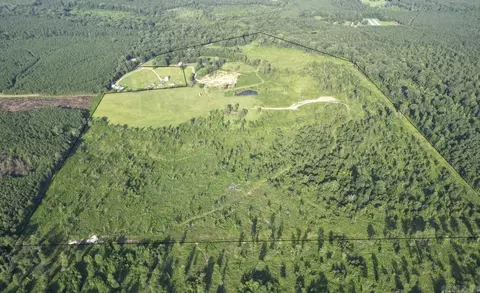 4400 Rye Cutoff Rd, Rison, AR 71665 photo 1