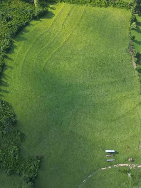 4400 Rye Cutoff Rd, Rison, AR 71665 photo 26