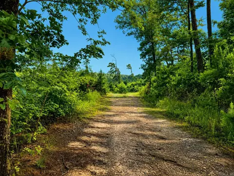 000 Evans Mountain Rd, Clinton, AR 72031 photo 31