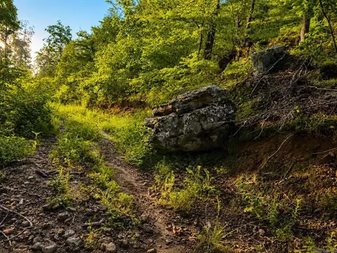 000 Evans Mountain Rd, Clinton, AR 72031 photo 29