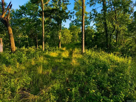 000 Evans Mountain Rd, Clinton, AR 72031 photo 26