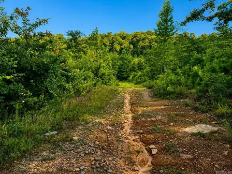 000 Evans Mountain Rd, Clinton, AR 72031 photo 32
