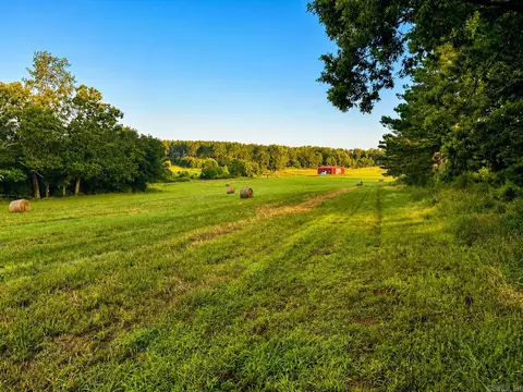 000 Evans Mountain Rd, Clinton, AR 72031 photo 21