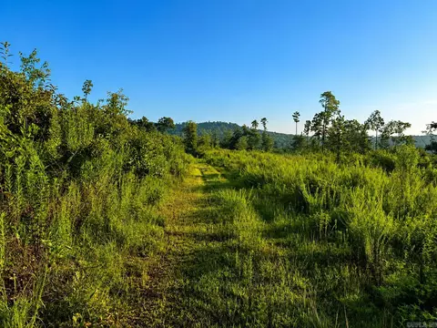000 Evans Mountain Rd, Clinton, AR 72031 photo 34